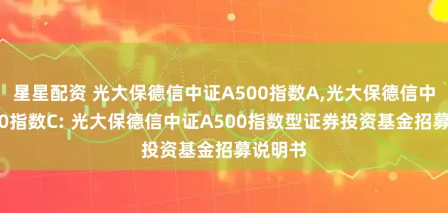 星星配资 光大保德信中证A500指数A,光大保德信中证A500指数C: 光大保德信中证A500指数型证券投资基金招募说明书