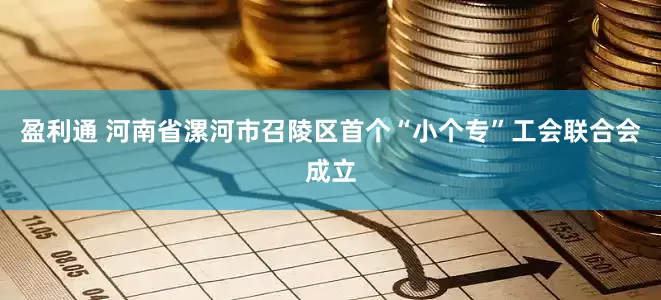 盈利通 河南省漯河市召陵区首个“小个专”工会联合会成立