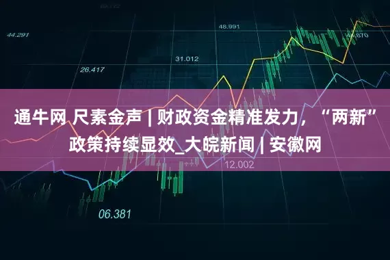 通牛网 尺素金声 | 财政资金精准发力，“两新”政策持续显效_大皖新闻 | 安徽网