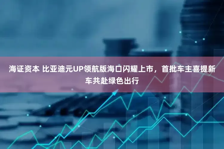 海证资本 比亚迪元UP领航版海口闪耀上市，首批车主喜提新车共赴绿色出行