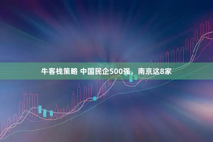 牛客栈策略 中国民企500强，南京这8家