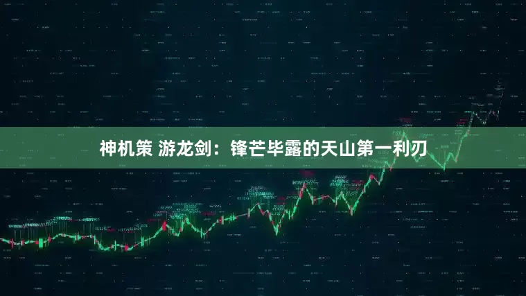 神机策 游龙剑：锋芒毕露的天山第一利刃