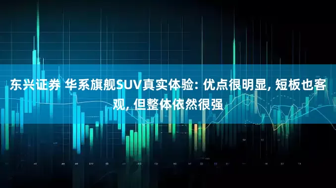 东兴证券 华系旗舰SUV真实体验: 优点很明显, 短板也客观, 但整体依然很强