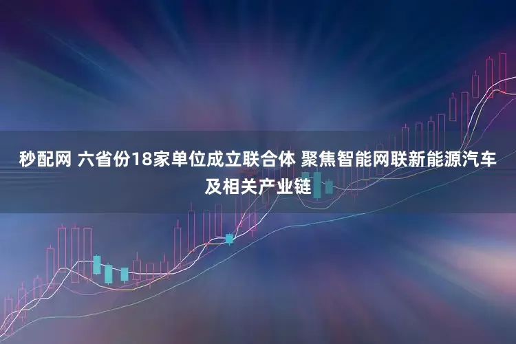 秒配网 六省份18家单位成立联合体 聚焦智能网联新能源汽车及相关产业链